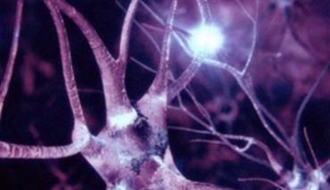 Nature Medicine: COVID-19 вызывает нарушения когнитивный функций мозга